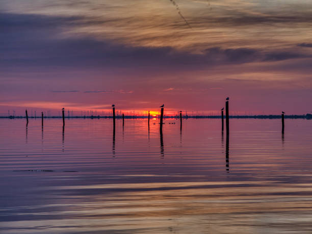 istock Sunrise, Purbach Lake Neusiedl 2182708232