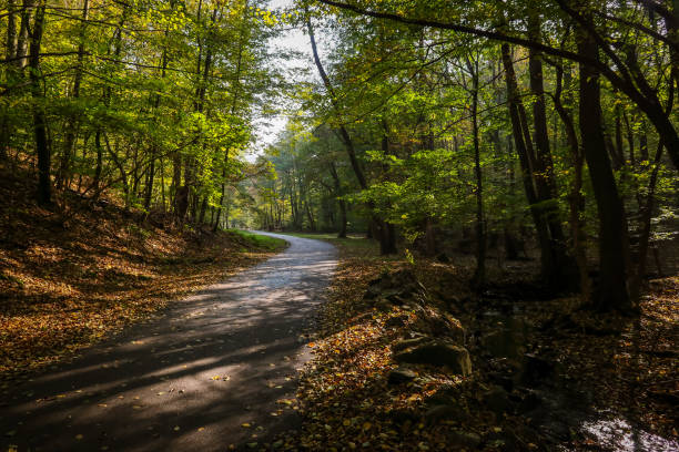 istock Walking trail in Little Carpathians forest near Bratislava 2182708434