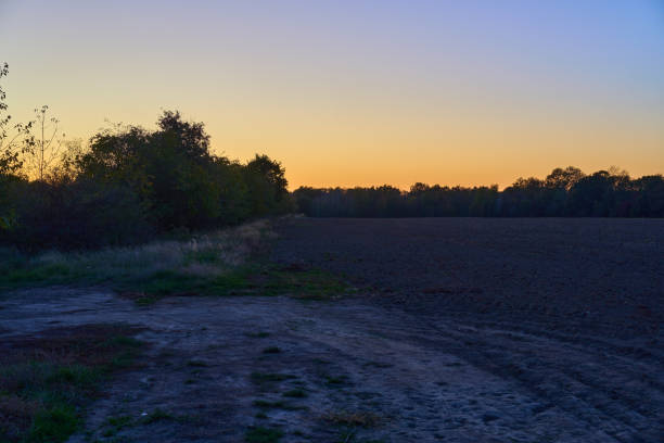 Dusk landscape of a plowed agricultural field by the forest in the countryside