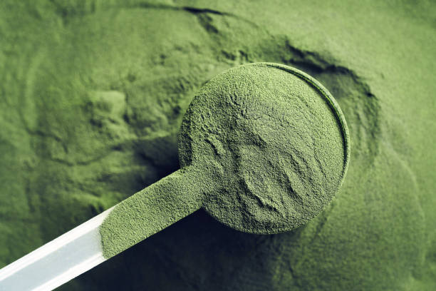 Green chlorella algae powder in a plastic measuring spoon, top view