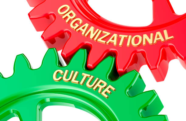 istock Organizational Culture concept with colored gearwheels. 3D rendering 2182712006