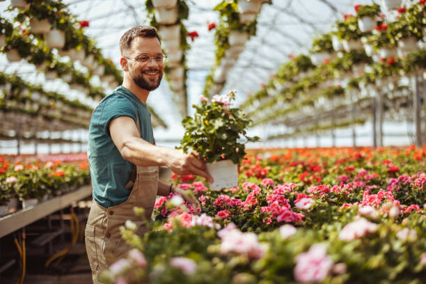 istock Florist man in a plant nursery 2182715276