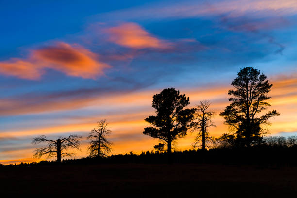 Vibrant Sunset Clouds on Mountain Ridge Scenic Landscape - Nature scenic with lenticular clouds and colorful pink and orange clouds with copy space.