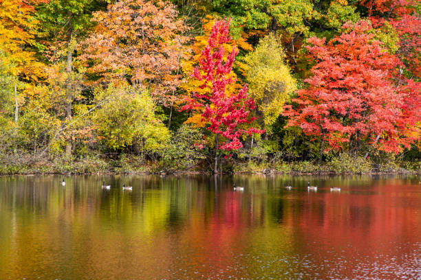 istock Colored fall season at the Lac Moulin on Mont St-Bruno 2182721872