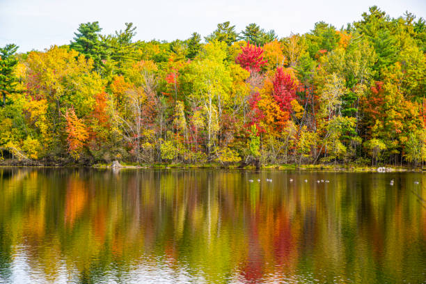 istock Colored fall season at the Lac Moulin on Mont St-Bruno 2182721890
