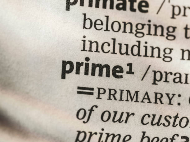 istock Prime word written in the dictionary 2182722032