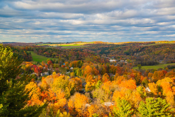 istock Colorful autumn season in Parc de la Gorge 2182723151
