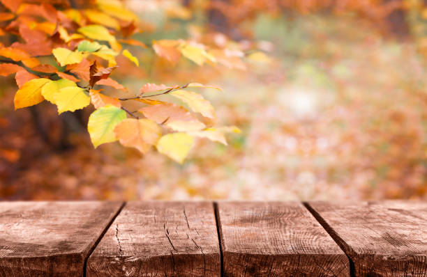 istock Autumn background with a wooden table. Copy space 2182724641