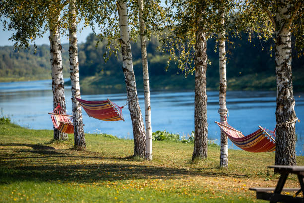 istock Colorful Hammocks Between Birch Trees by a Tranquil Riverside 2182726048