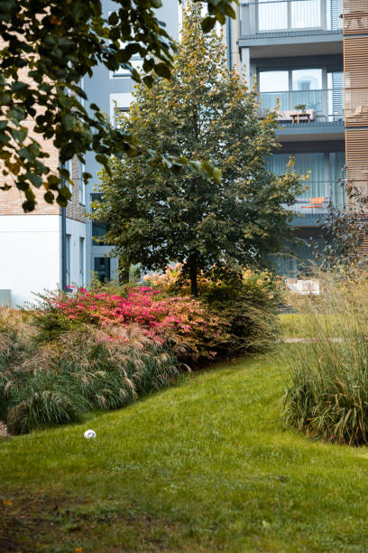 istock Modern Residential Area with Landscaped Garden and Tree 2182726303