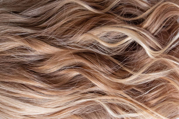 Healthy wavy female hair on white background. Piece of brown long hair on white isolated background. Top view. Copy Space.