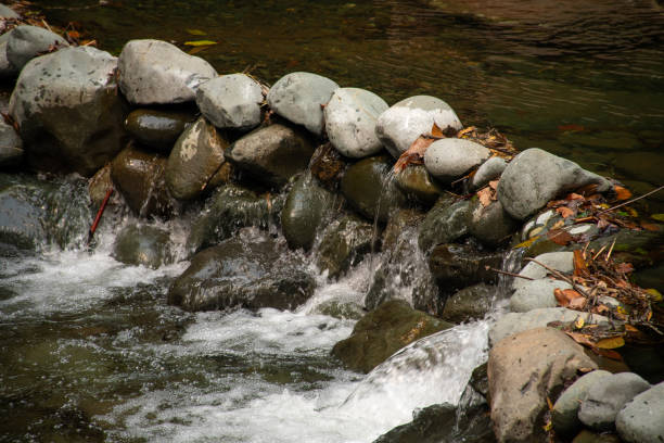 A small natural dam made of stones creates a gentle water flow in a serene mountain stream. The image captures the rustic beauty of the dam against the flowing water, blending natural elements in a peaceful, untouched environment.