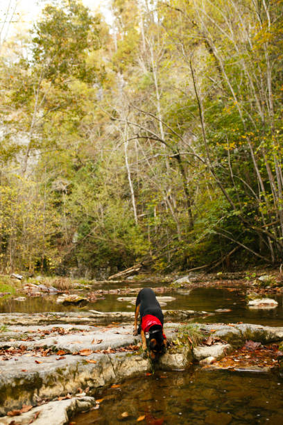 istock Dog Drinks Water From River With Autumn Backdrop 2182740263