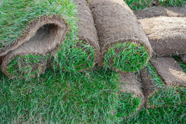 istock close up on stacking turf roll for gardening 2182741219