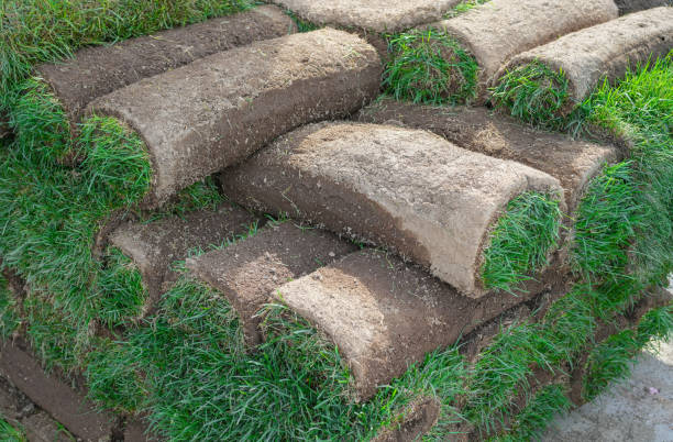 istock close up on stacking turf roll for gardening 2182741225