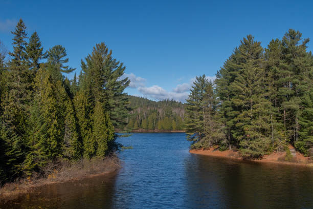 istock Parc de la Mauricie in Quebec Canada during autumn 2182744325