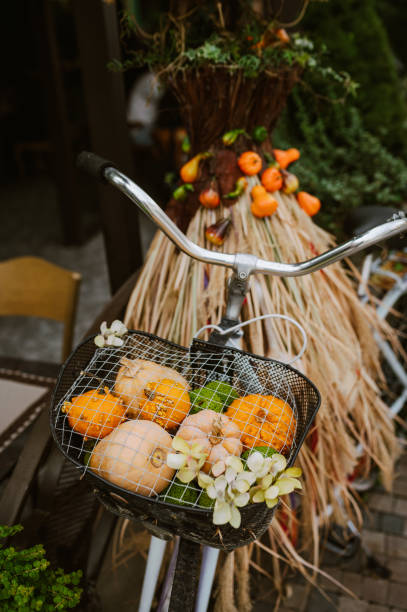 Thanksgiving & Halloween decor with pumpkins. Fall, Autumn