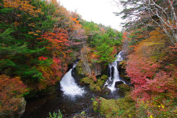 Tochigi, Japan -October 26, 2024:Ryuzu Falls is located in Nikko City.It flows down a steep slope about 210m long and 10m wide.splitting into two parts along the way. It flows into Lake Chuzenji. \
