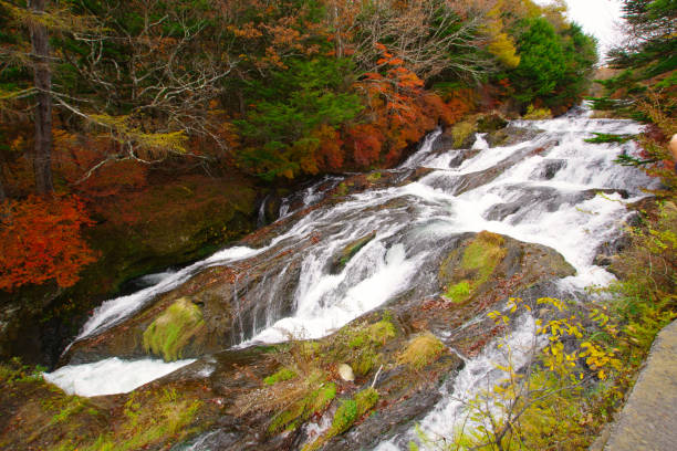 Tochigi, Japan -October 26, 2024:Ryuzu Falls is located in Nikko City.\nIt flows down a steep slope about 210m long and 10m wide.splitting into two parts along the way. It flows into Lake Chuzenji. \