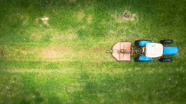 A special tractor with a mower for mowing grass on the side of the road against the background of a forest, industry. Copy space for text, job