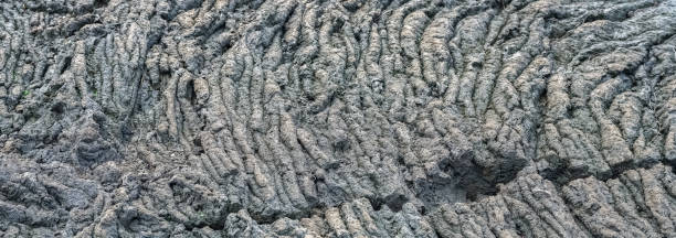 istock La Reunion, petrified lava flow 2182764322