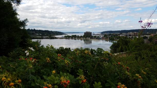 istock Olympia, Washington, View through the Trees 2182765392