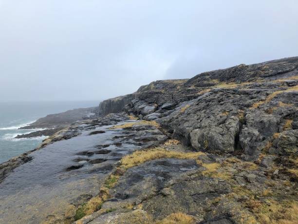 istock Foggy Coastal Rocky Landscape 2182766617