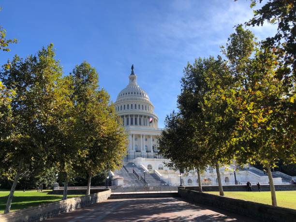 istock The U.S. Capitol Framed by Trees 2182766622