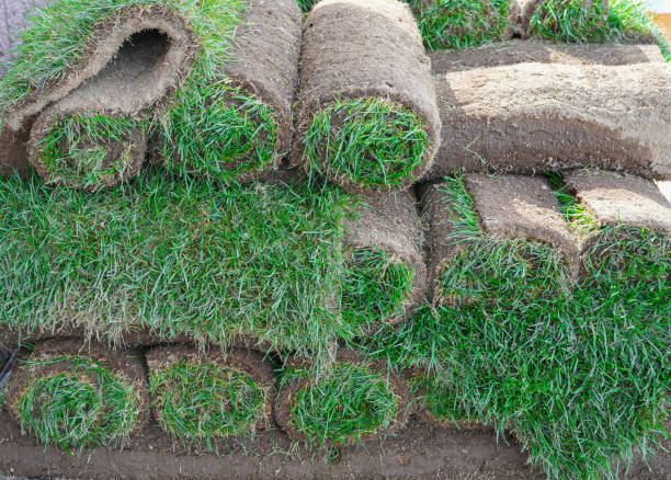 istock close up on stacking turf roll for gardening 2182768101