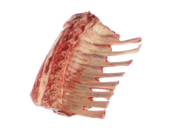 istock French lamb steak chop isolated on white background 2182768105