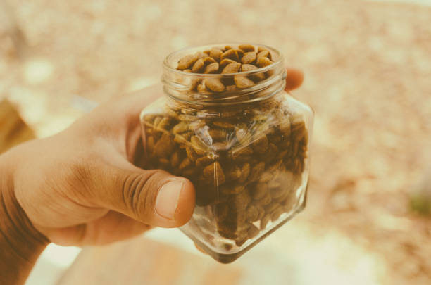 istock dog food 2182769328