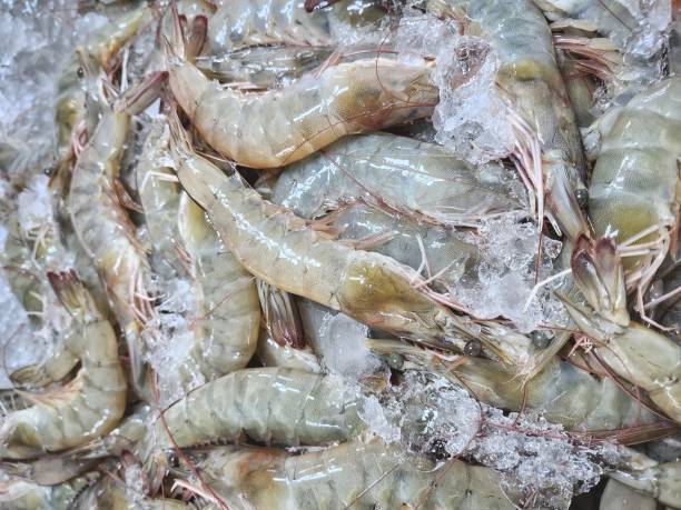 istock Fresh shrimp in the Thai market 2182771796