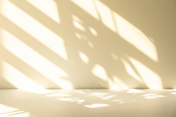 istock Studio style background wall decoration presentation uses white and beige tones. with shadows cast from a nearby window, concept creating a decorative 2182772421