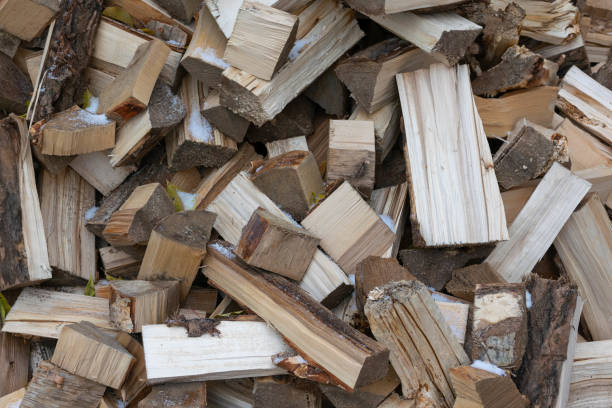 istock Pile of Freshly Chopped Firewood Logs Ready for Burning in Rustic Outdoor Setting 2182777038