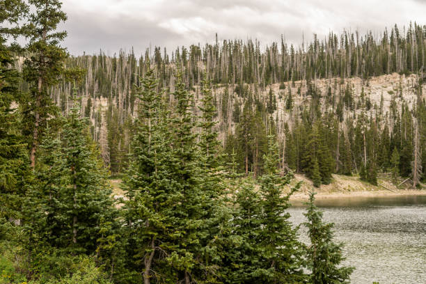 istock Forested mountain landscape with lake and cloudy sky 2182777344