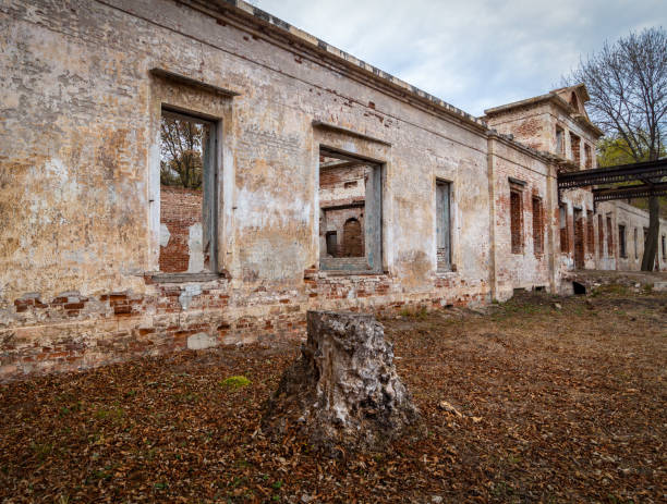 The ruined building dates back to Maria Island’s convict era