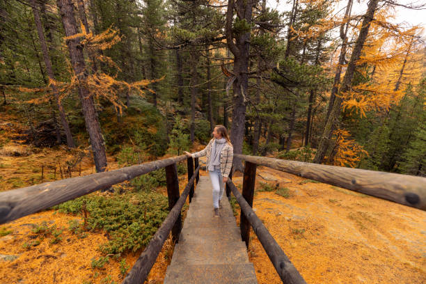Woman standing on a wooden bridge in a vibrant autumn forest, surrounded by golden foliage. Dressed in cozy outdoor attire, she embraces the serene beauty of nature.