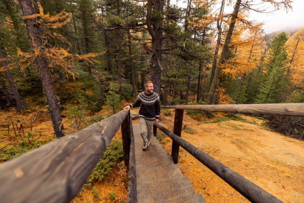 A smiling man in a cozy sweater walks up a wooden bridge surrounded by colorful autumn trees in a serene forest setting.