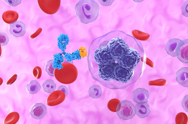 Monoclonal antibody therapy in T cell lymphoma - closeup view 3d illustration stock photo