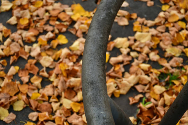 autumnal colored leaves on a street with an iron grid