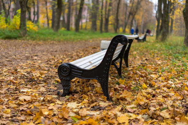 istock Autumn in the park 2182790478