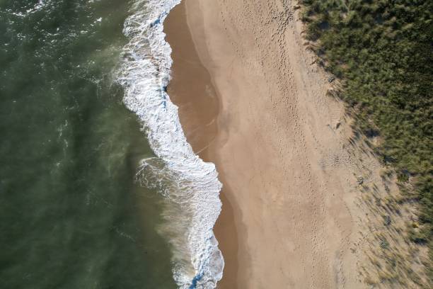 istock Aerial view of a sandy beach with gentle waves. 2182799868