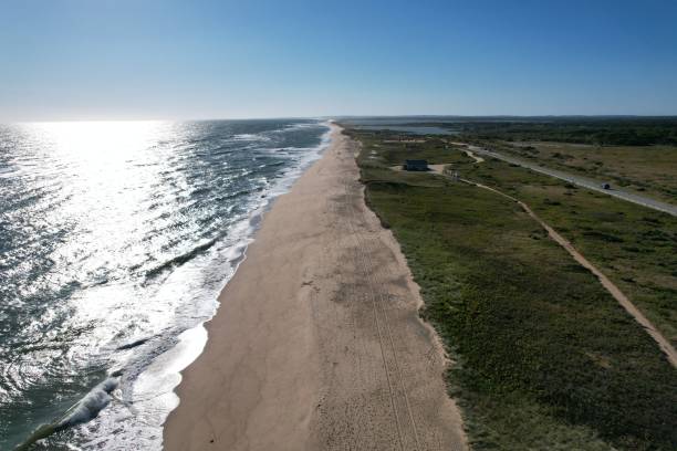 istock Aerial view of a serene beach coastline 2182800156