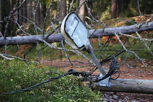 A fallen lamp post after a storm in the forest