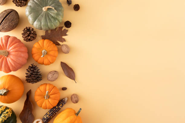 istock Thanksgiving Background with Pumpkins and Autumn Leaves 2182804042