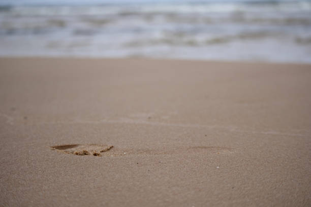 human footprint in sand with sea background