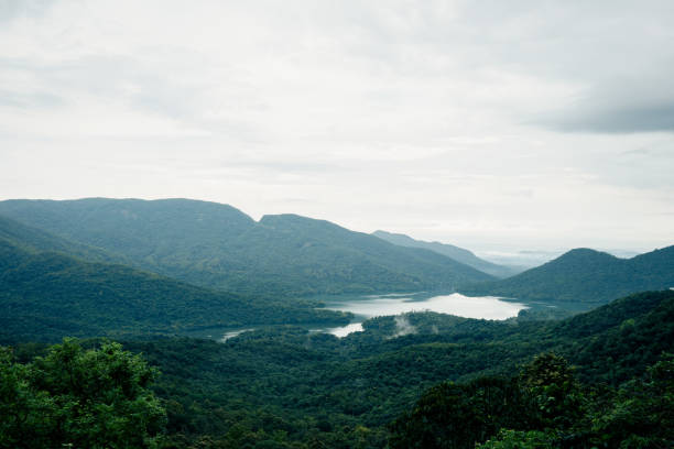 istock Big Anjunem Lake in the Goa tropics 2182806902