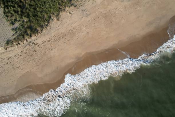 istock Aerial view of a sandy beach with waves and footprints. 2182812623