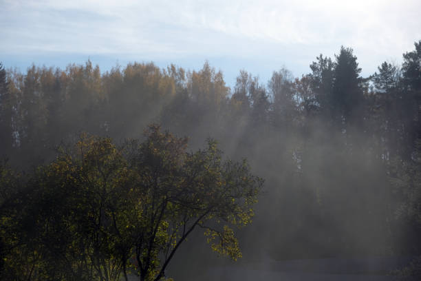 Misty dawn over the forest against the backdrop of the blue sky.