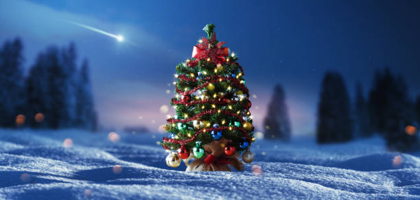 istock Cute small Christmas tree on the snow 2182820914